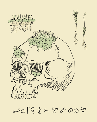 grafik.png
