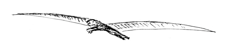 grafik.png